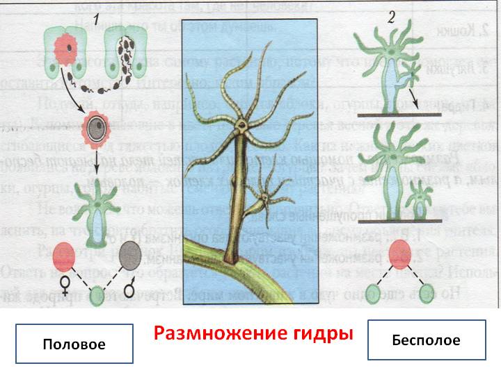 Вход кракен код